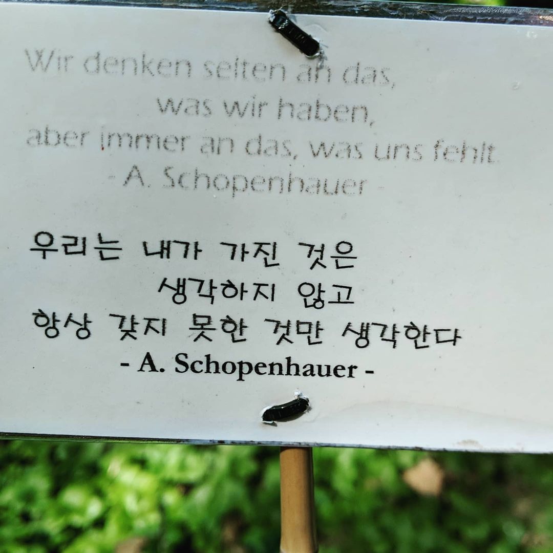 Arthur Schopenhauer Zitat